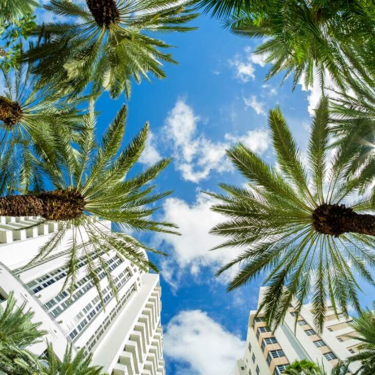 Miami Beach